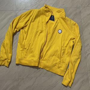 Yellow Jacket