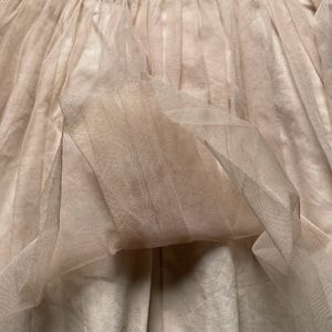 Nude Puffy Net Skirt