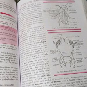 TRUEMAN's Biology Refer. for 11th& 2 FREE BOOK