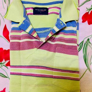 Parrot Colored MultiStripe Checked T-shirt