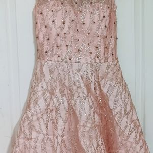 Baby Pink Shimmery Sparkle Flared Dress