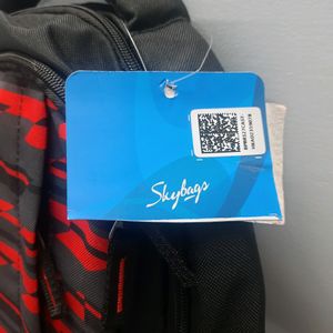 Skybags Backpack