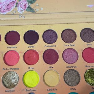 Eyeshadow