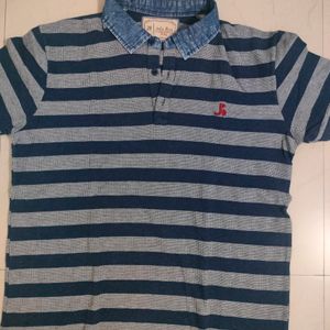 Stripped Polo Tshirt for Men