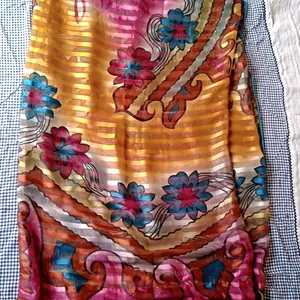 Multicolore Saree