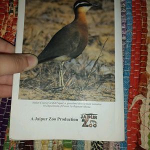 Urban bird book and a robot keychain