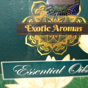 10ml Rosemary Essential Aroma Oil