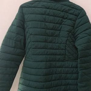 Winter Jacket