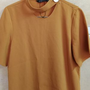 Zara Mustard Stylish Top