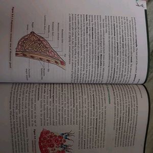 Ncert Biology Book - Class 11 And 12