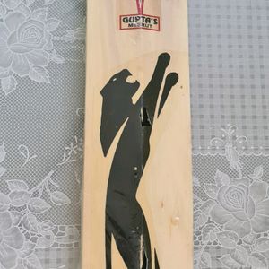 SH Cricket Bat