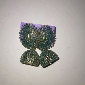 Hair Clip And Earring