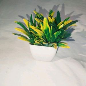 Set Of 4 Artificial Plants