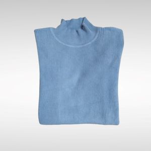 Turtle Neck Light Blue Tops