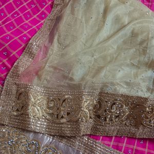 Party Wear Lehenga