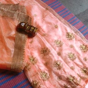 New Bollywood Real Lehenga Choli Wit