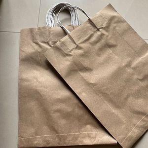 Brown paper bags- set of 20