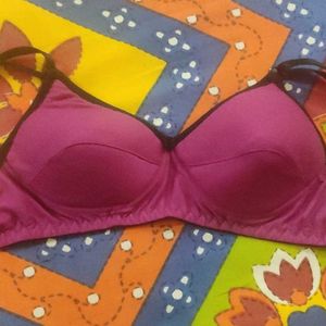 Silverline Bra