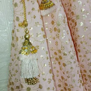 Gorgeous Lehengacholi