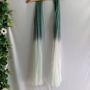 🎉SALE🎉White & Green Ombre Effect Dupatta