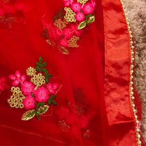 Red Colour Net Saree