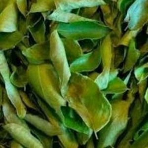 Dried Curry Leaves