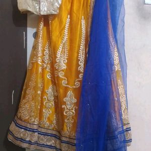 Yellowish Embodiment Lengha And Blouse Golden net