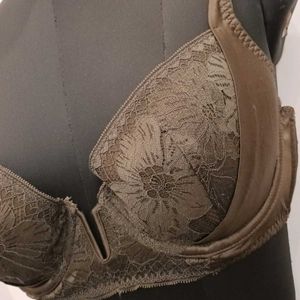 Padded Big Brand Bra 38B