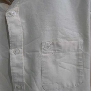 Shirt Cream Colour