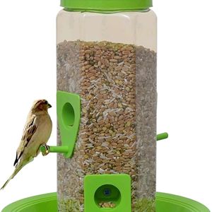 Bird Feeders for Small Birds