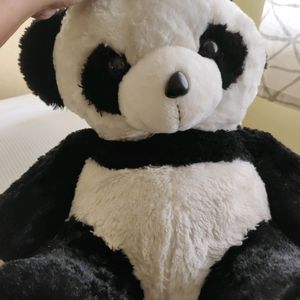 Panda Soft Toy (New) 55cm