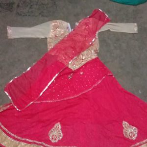 l Lehenga Choli