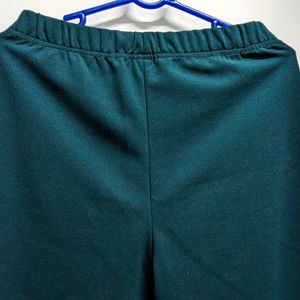 Sea Green Formal Bootcut Pant