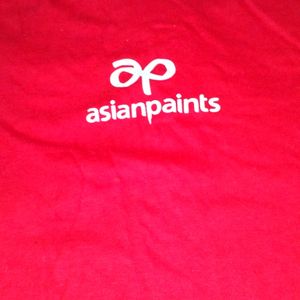 Asian Paints T Shirt Xl