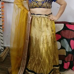 Lehenga(coins Or Swap Accepted)