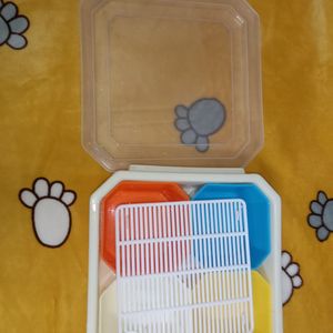 Serving Box/Tray