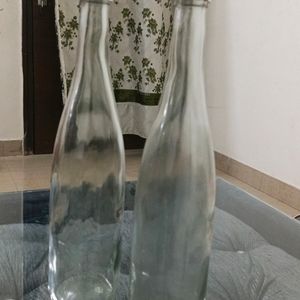 Glass Water Bottle