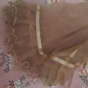 Organza And Net Dupatta