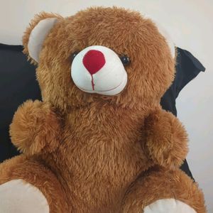 Brown Teddy Bear