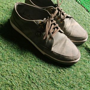 Light Green Olive Color Sneaker