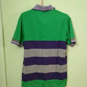 Green And Purple Multicolour Tshirt With Collar