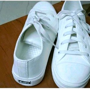 Zudio White Sneaker