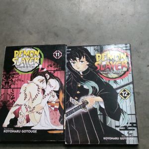 demon slayer volume 11&12