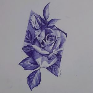 Classy Rose Pen Sketch HandMade.