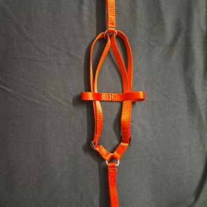 Small To Medium Size Dog Body Belt