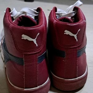 Puma HIGH Tops Sneakers