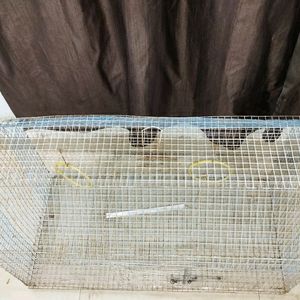 BARGAIN & BUY Huge Birds Cage (Large Size)