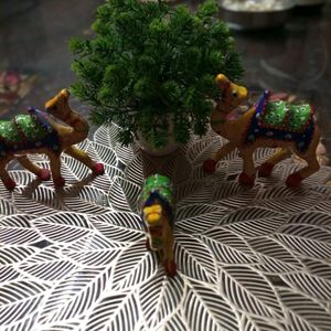 Home Decor Items- Camels And Plant