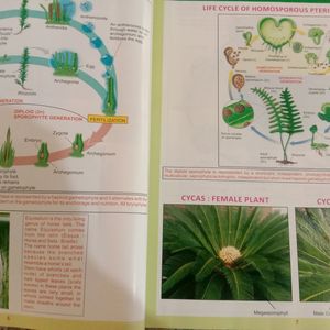 Allen Biology Bioinagica and NCR Books For Neet