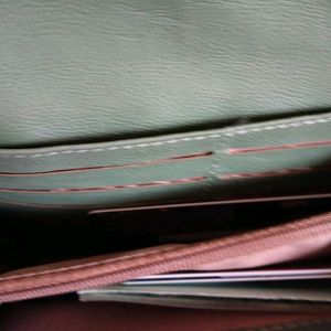 Baggit Wallet